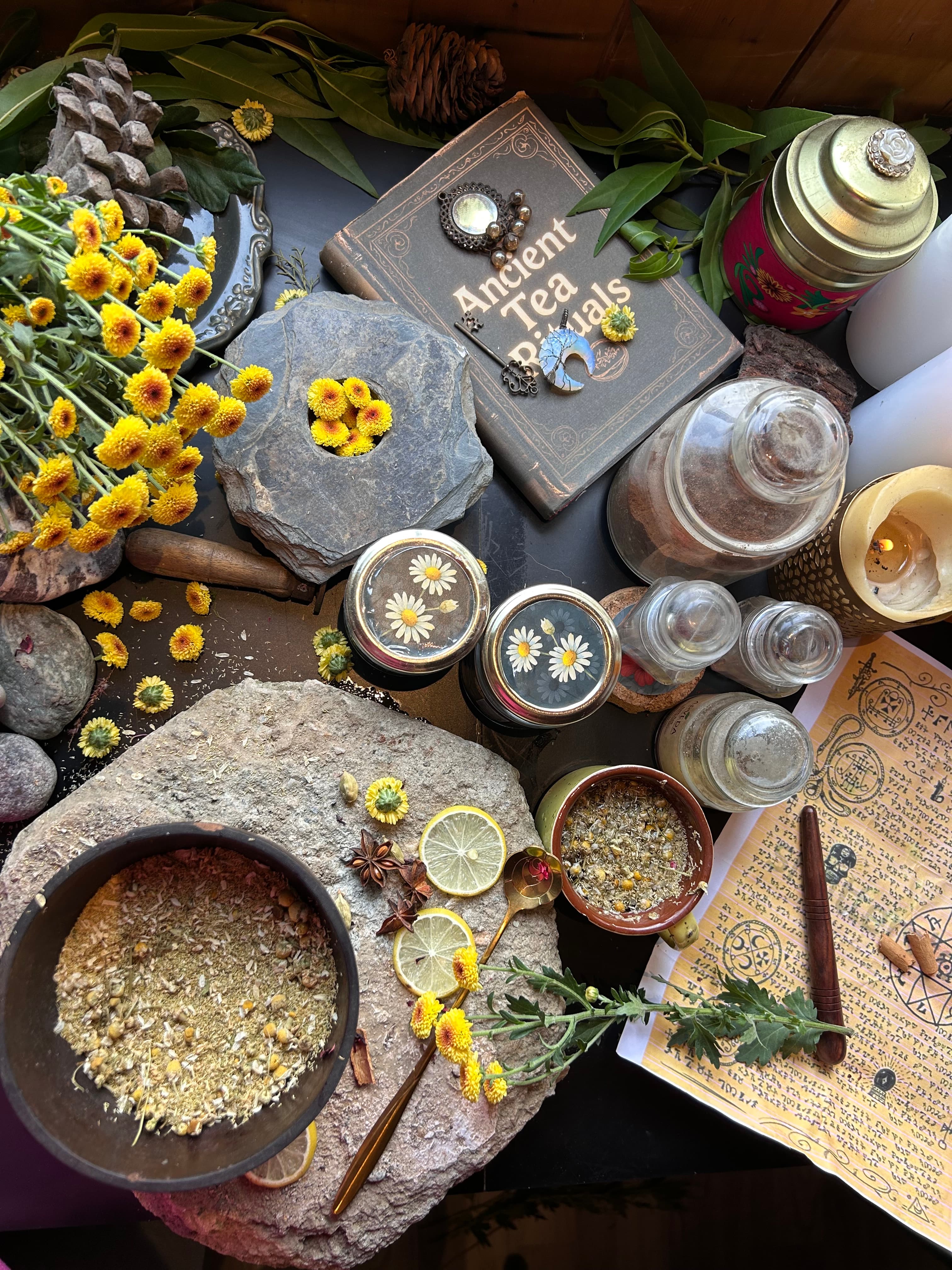 Brewtales botanical collection